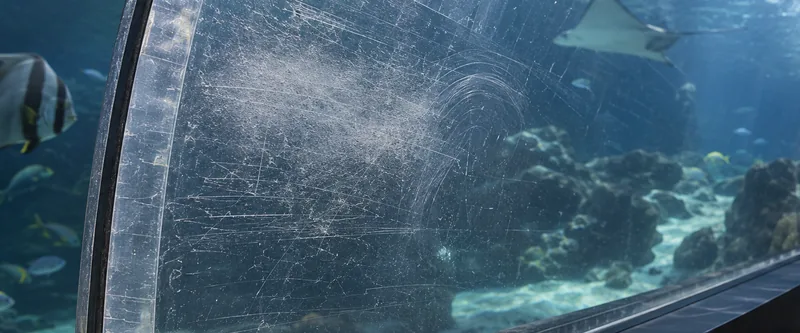 Túnel de acuario en acrílico: el panel está microrayado y opaco, y detrás pasa una raya